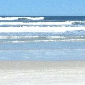 Meet your Posher, Deana